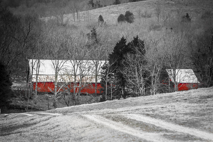 Red Barn No 2 Photograph by Debbie Karnes