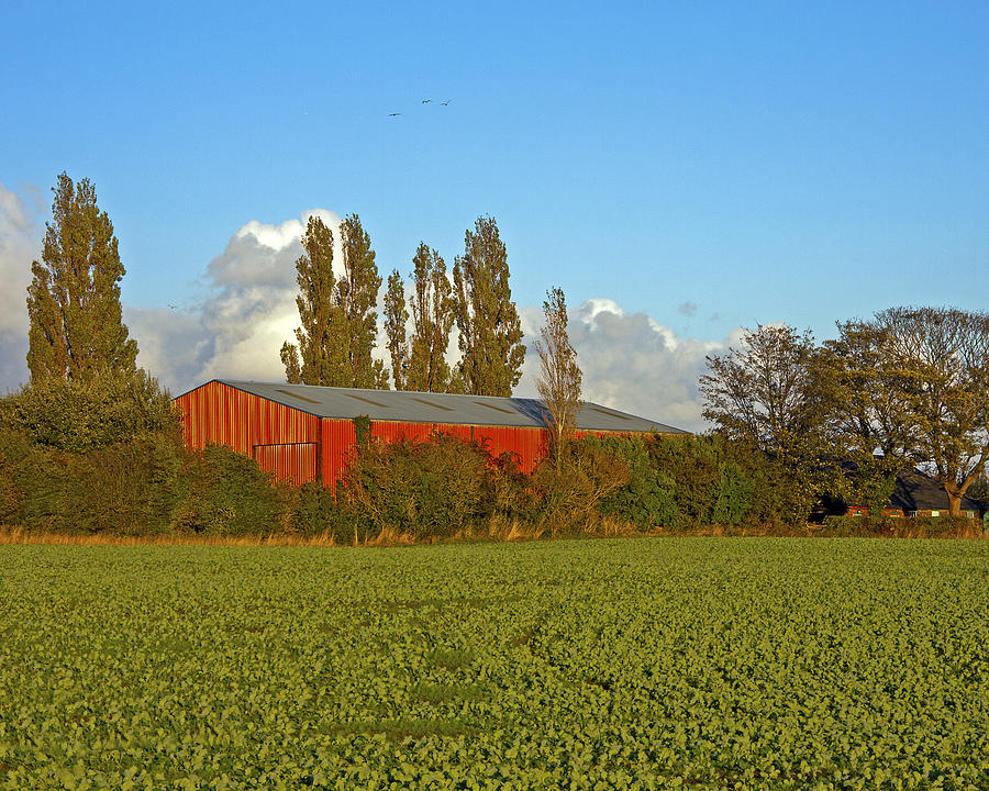 Red Barn Photograph by Paul Scoullar