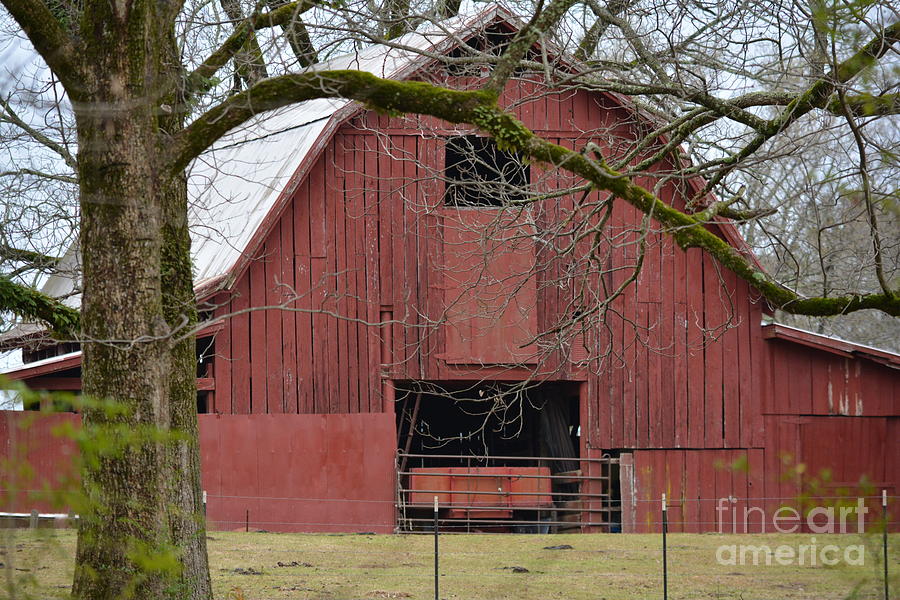 Red Barn Series Picture C Photograph by Barb Dalton