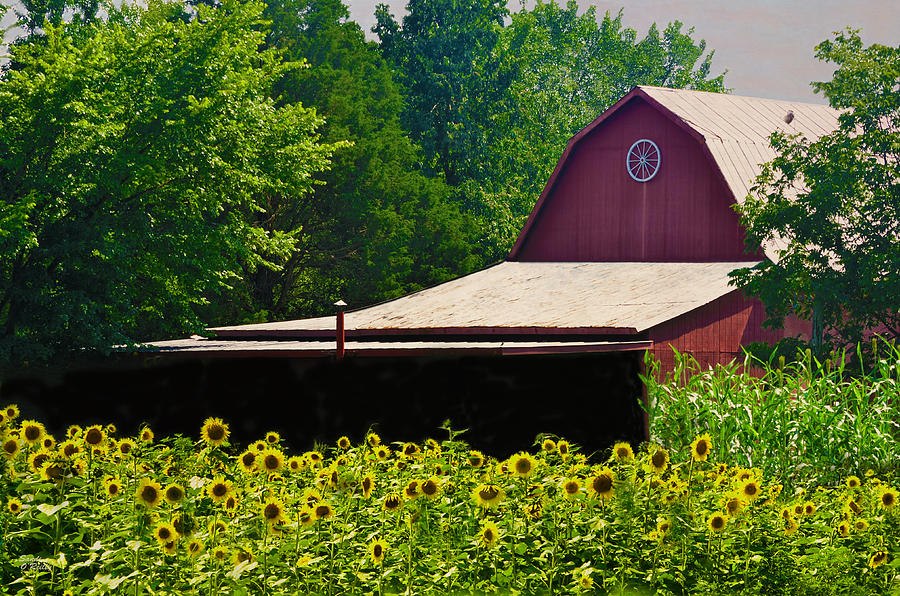 Flower Photograph - Red Barn Surrounded by Sandi OReilly