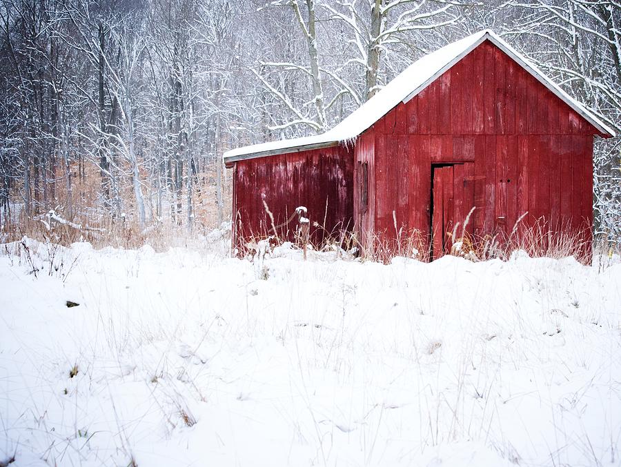Red Barn Photograph by Virginia Folkman