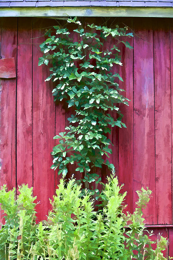 Red Barn Wall Photograph by David Letts