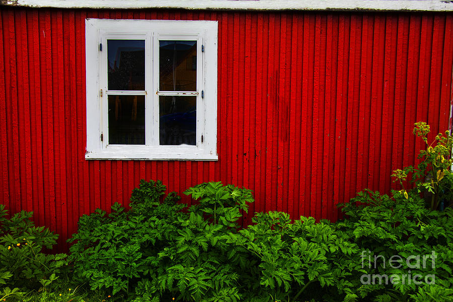 Red Barn White Window Photograph by Rick Bragan