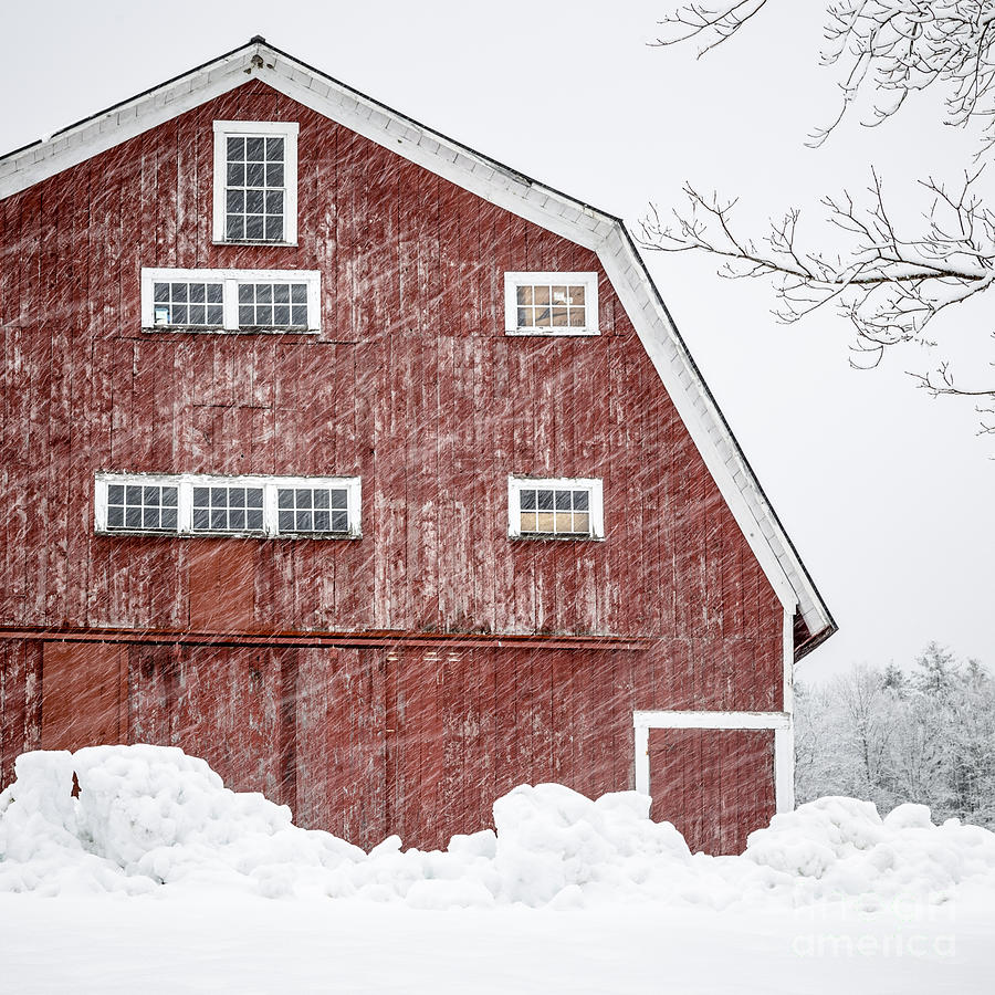 Winter Photograph - Red Barn Whiteout by Edward Fielding