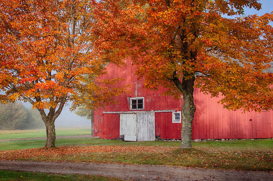 Fall Photograph - Red Barn With White Barn Door by Jeff Folger