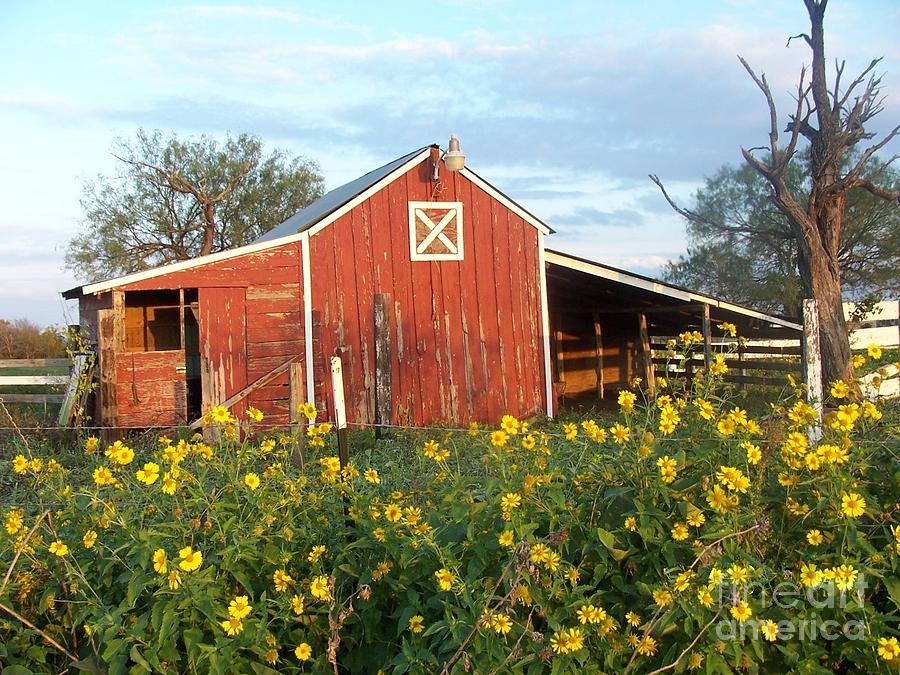 Flower Photograph - Red Barn With Wild Sunflowers by Susan Williams
