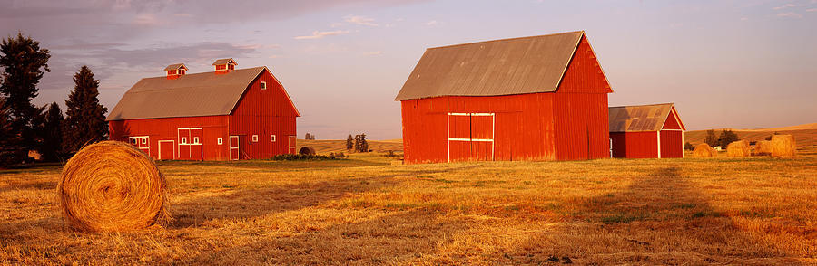 Architecture Photograph - Red Barns In A Farm, Palouse, Whitman by Panoramic Images