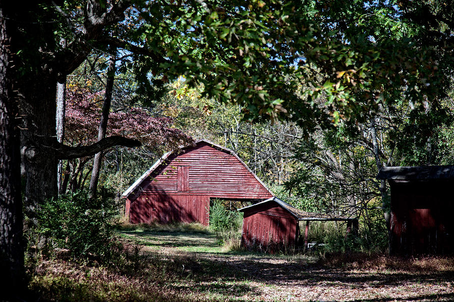 Red Barns in Rural Tennessee Photograph by Robert Camp