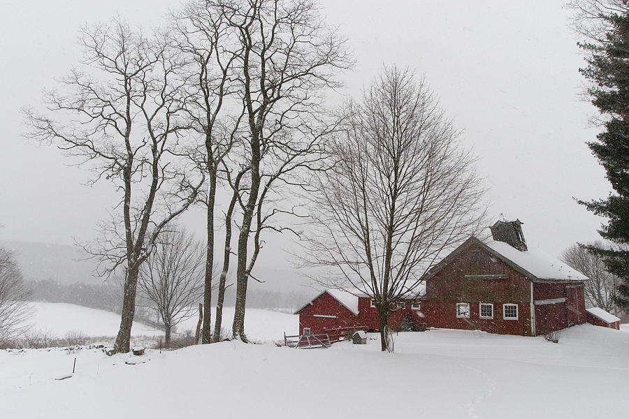 Red Barns in Snowstorm Photograph by Michael Bowman - Fine Art America