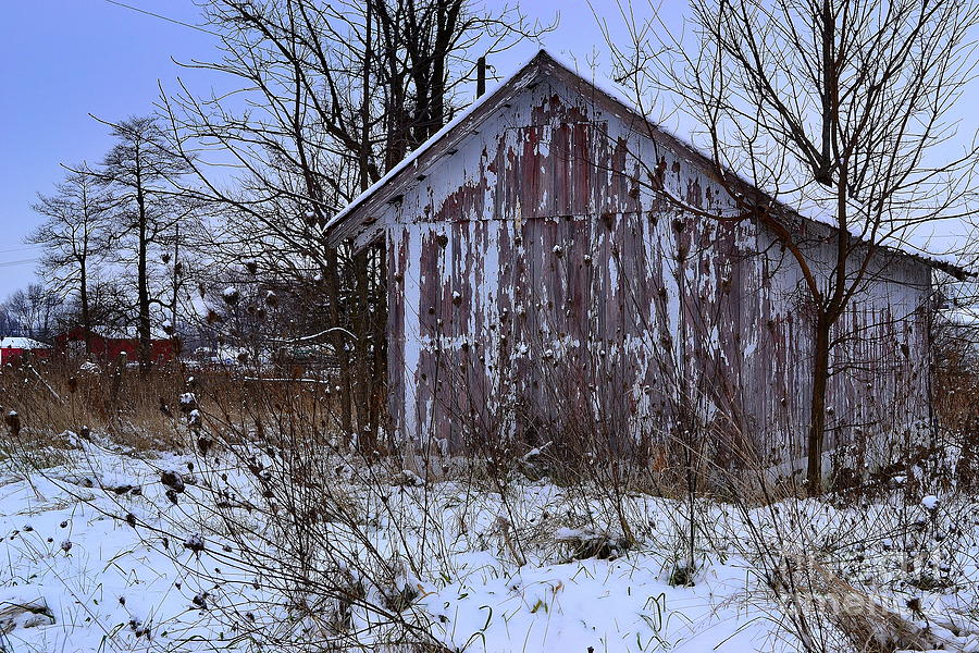 Red Barns In Winter Photograph By Amy Lucid