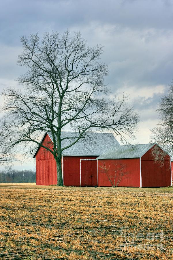 Barn Photograph - Red Barns by Marcel  J Goetz  Sr