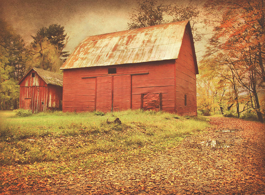 Barn Photograph - Red Barns On Old Mine Road by Pat Abbott