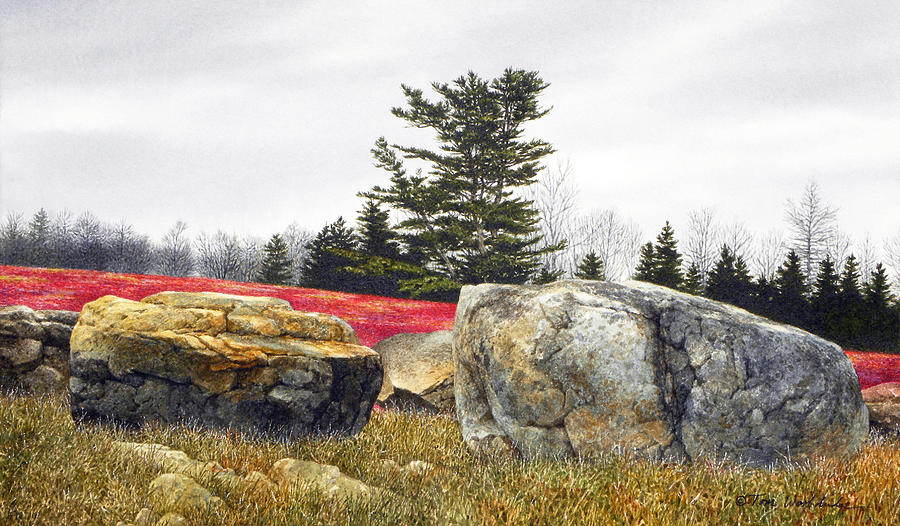 Red Barrens Painting by Tom Wooldridge