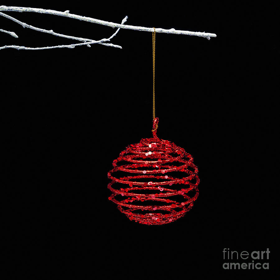 Red Bauble Photograph by Diane Macdonald