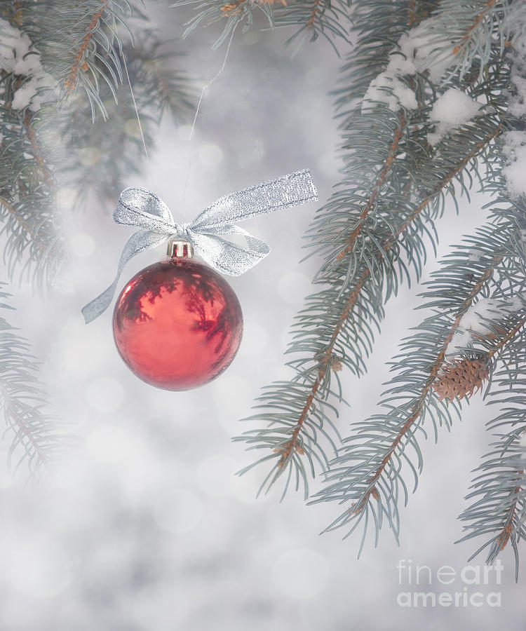 Red Bauble Photograph by Juli Scalzi