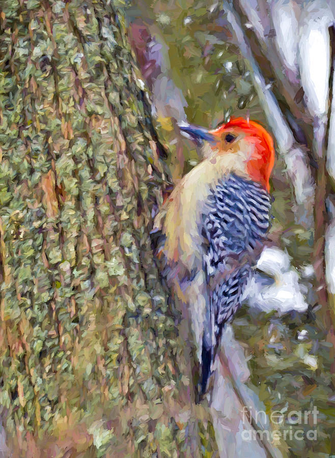 Red-bellied Woodpecker As The Snow Falls Photograph by Kerri Farley