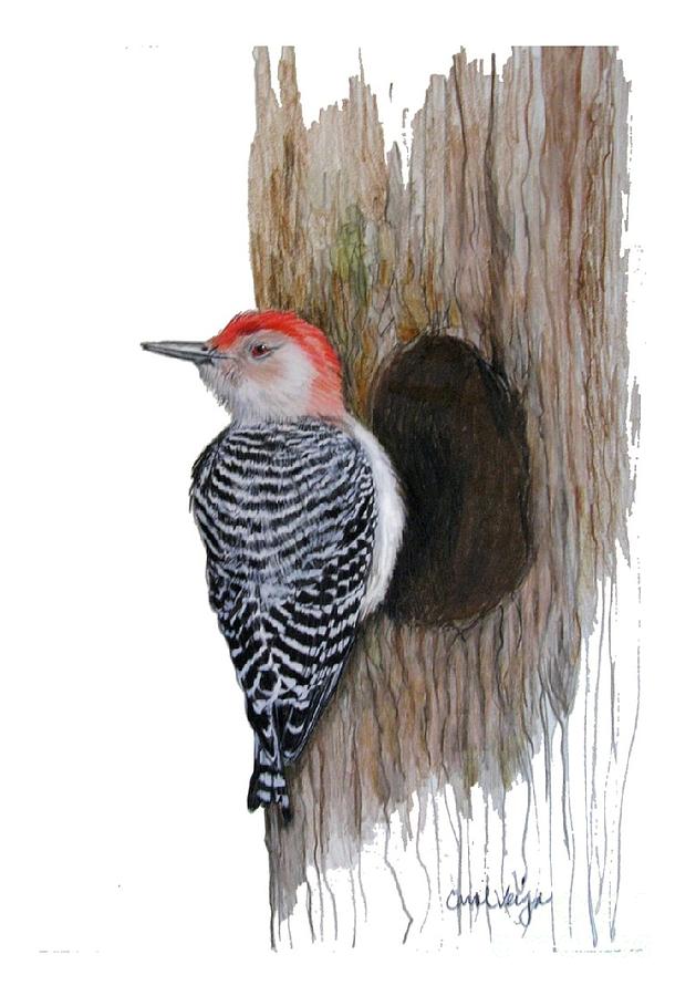 Woodpecker sketch : r/sketches