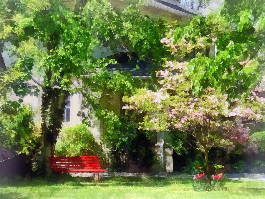Red Bench by Pink Tree Photograph by Susan Savad