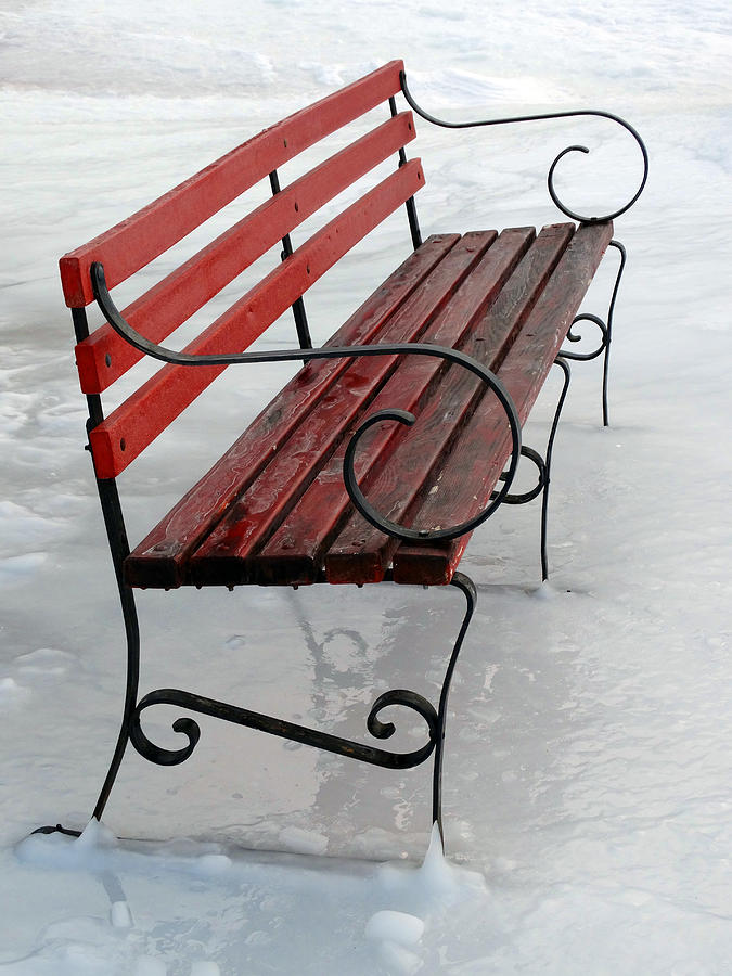 Red Bench in Ice Photograph by David T Wilkinson