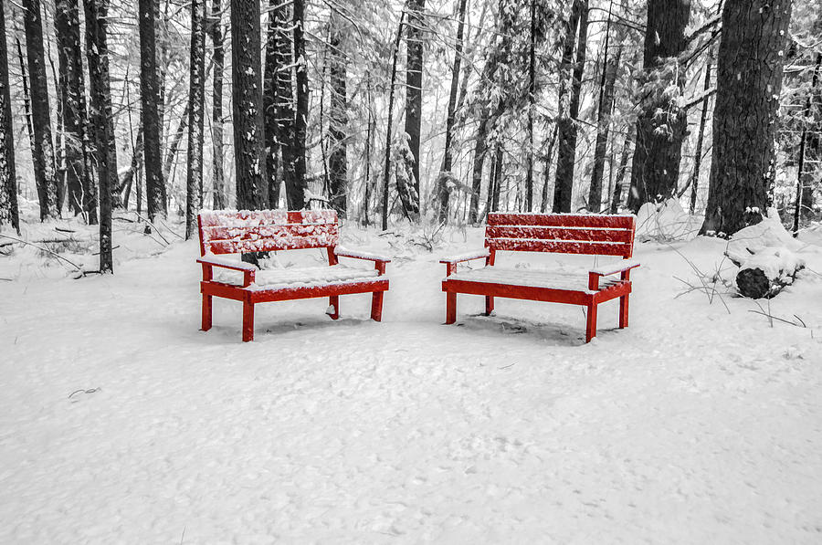 Red Benches Photograph by Cathy Kovarik