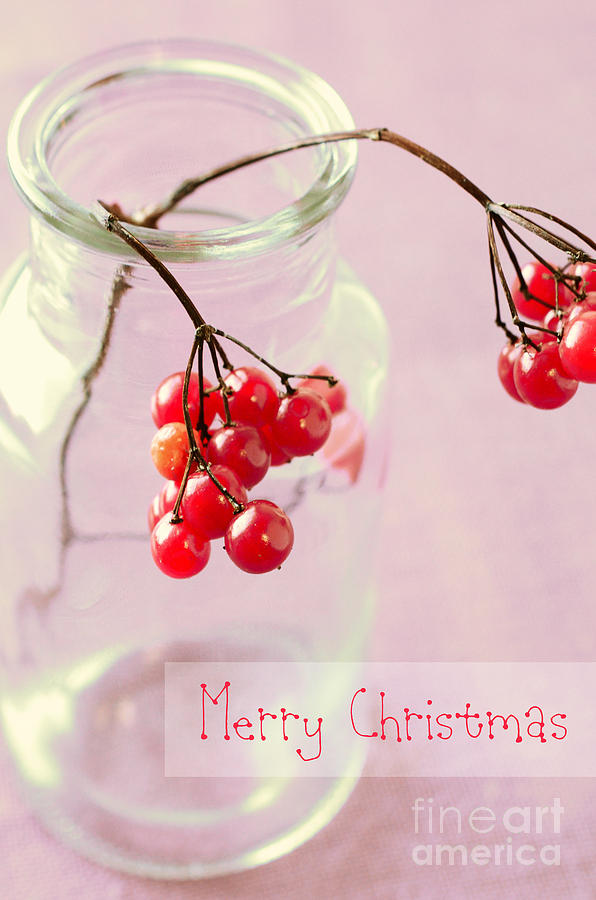 Red Berries in a Vase Merry Christmas Photograph by Sabine Jacobs