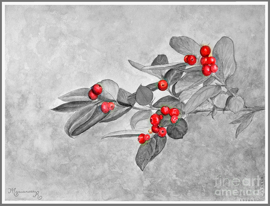 Red Berries Digital Art by Mariarosa Rockefeller