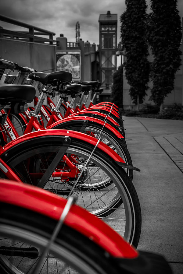 Red Bicycles Photograph by Ron Pate