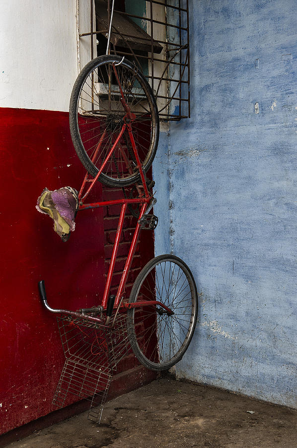 Red Bike Photograph by Pamela Steege