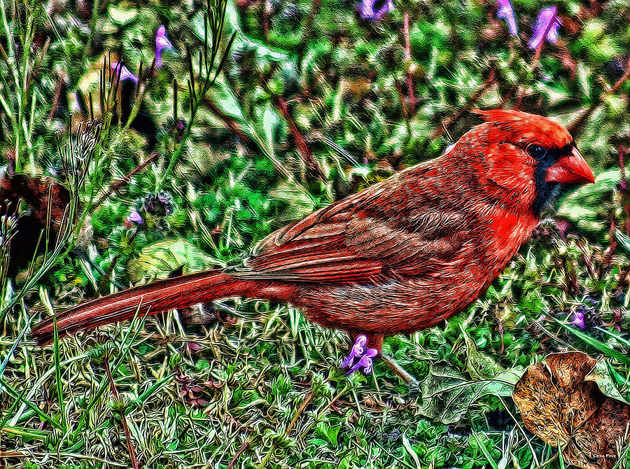 Red Bird Art Photograph by Lesa Fine