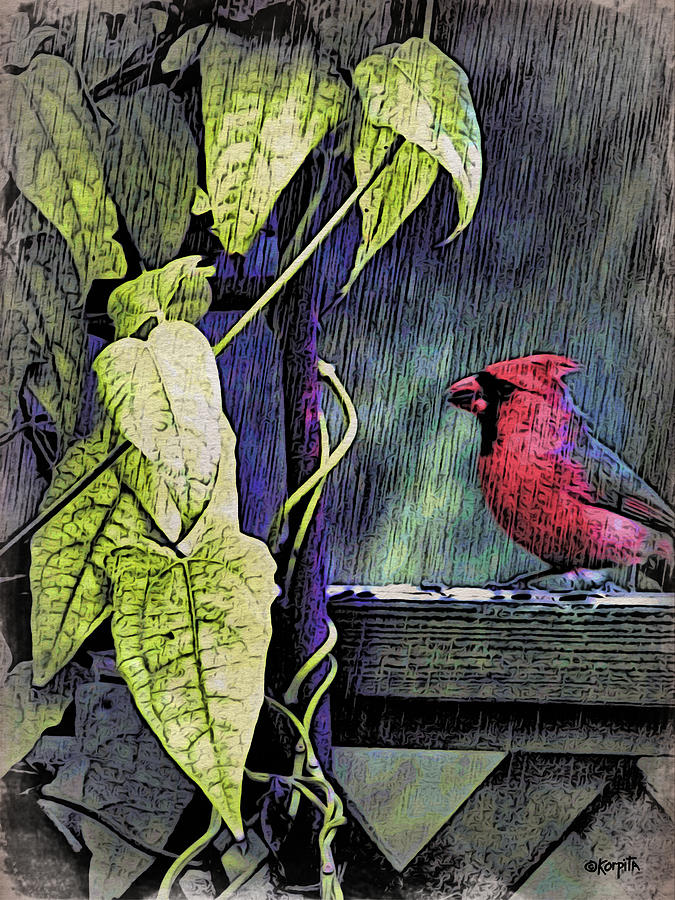 Red Bird in the Rain Photograph by Rebecca Korpita