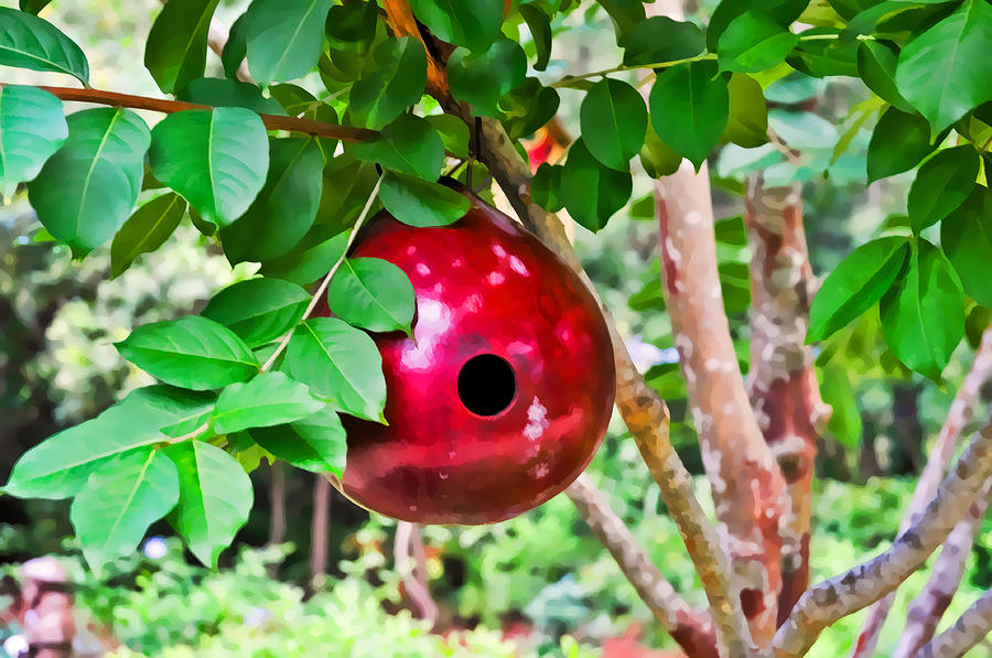 Red Birdhouse in Garden Photograph by Ginger Wakem