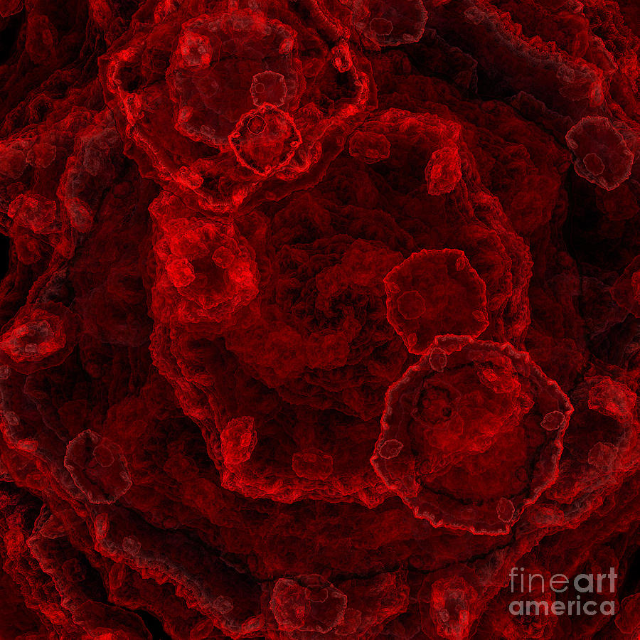 Red Blood Cells Abstract Square Digital Art by Andee Design