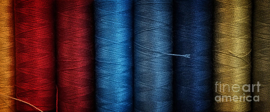 Red Blue Gold thread Photograph by Inge Riis McDonald