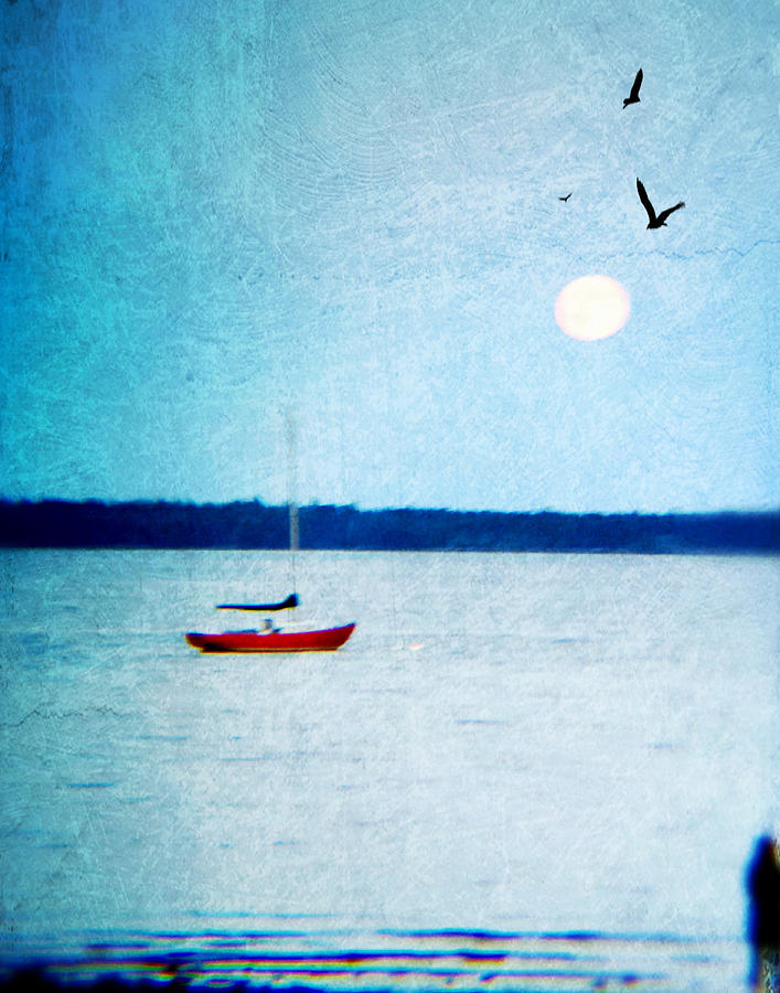 Red Boat Big Moon Photograph by Ann Tracy