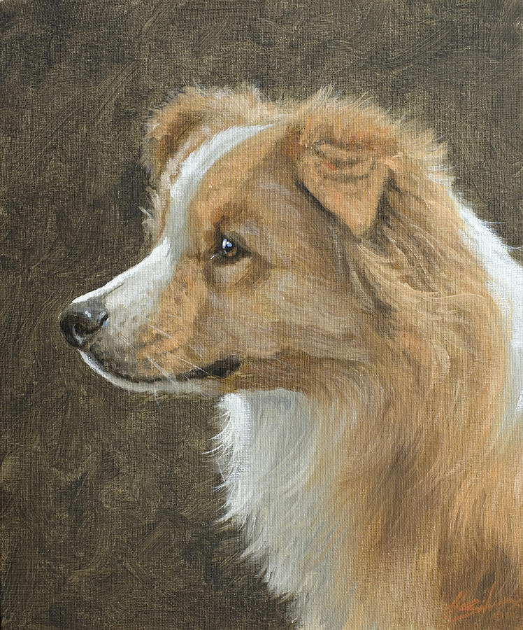 Red Border Collie Portrait Painting by John Silver
