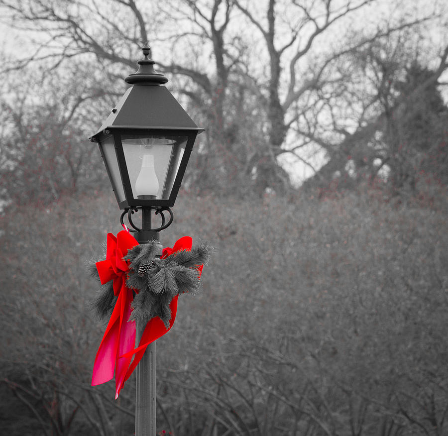 Christmas Photograph - Red Bow by Michael Walton