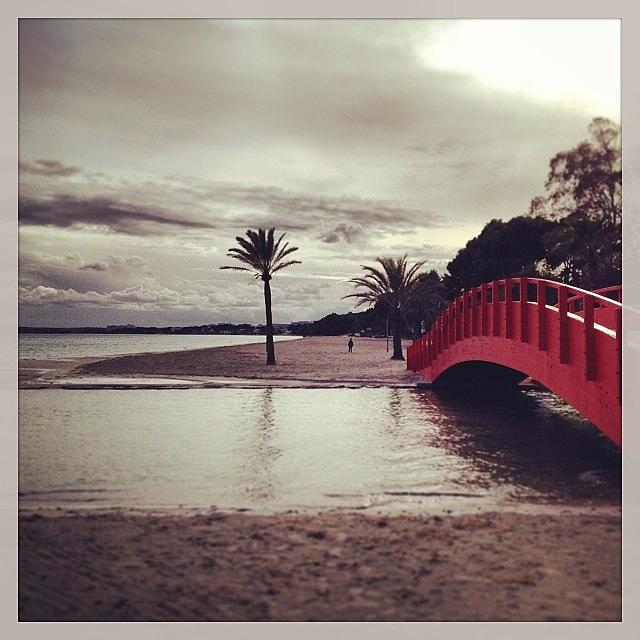 Winter Photograph - Red Bridge & #palm #tree. Long #walks by Balearic Discovery