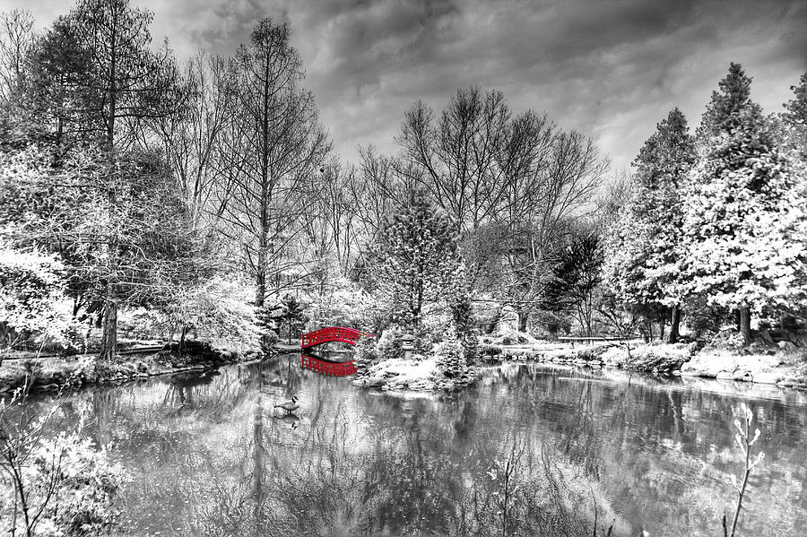 Red Bridge Photograph by Alexey Stiop