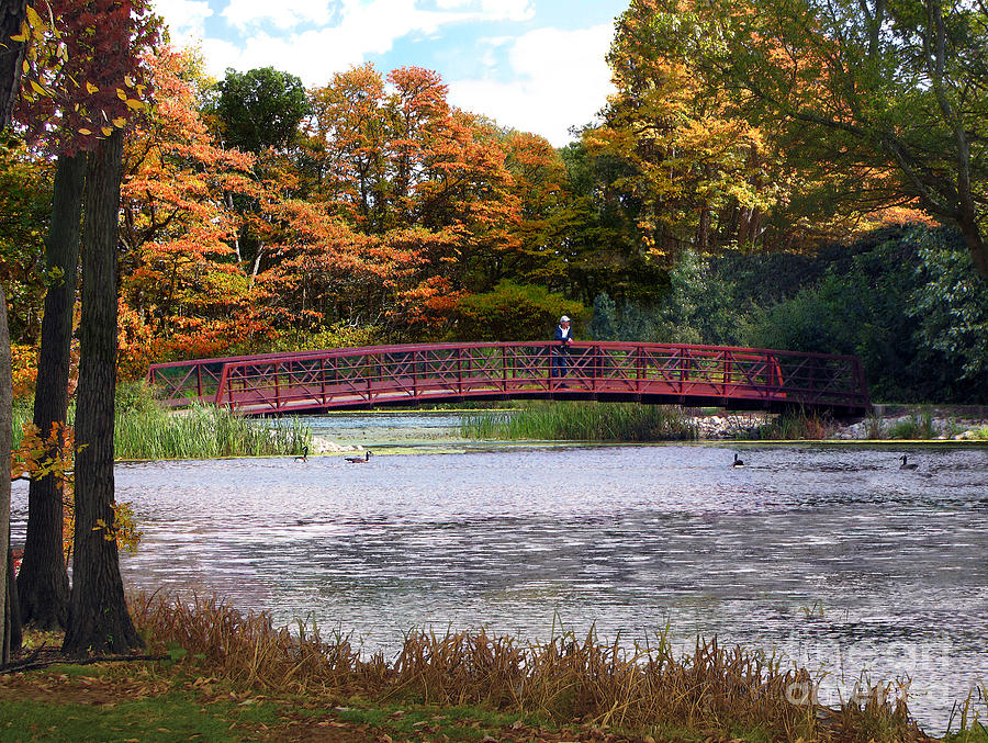 Red Bridge In Autumn Photograph by Cedric Hampton