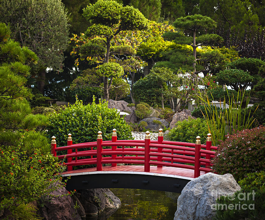Red bridge in Japanese garden Photograph by Elena Elisseeva