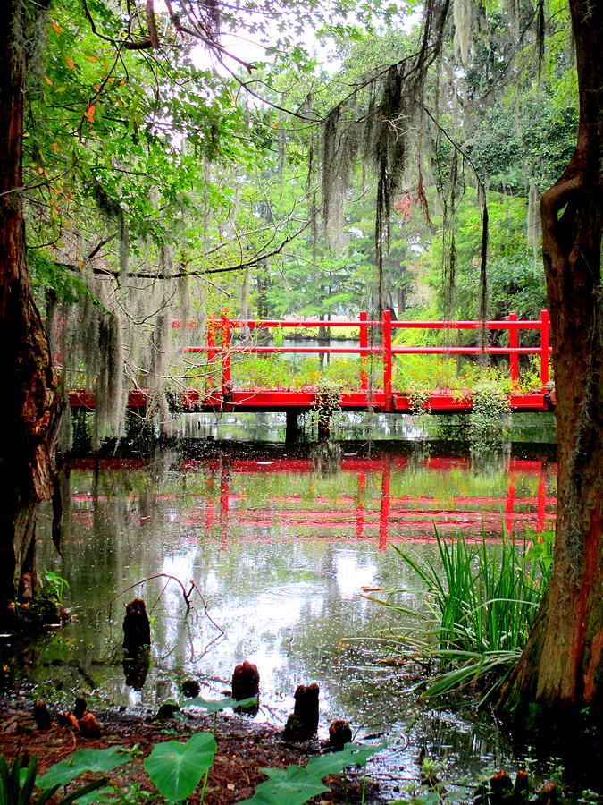 Red Bridge Swamp View 2 Photograph by Randall Weidner