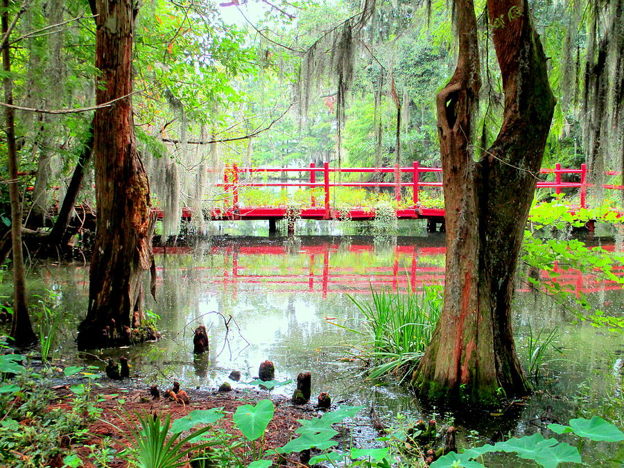 Red Bridge Swamp View Photograph by Randall Weidner