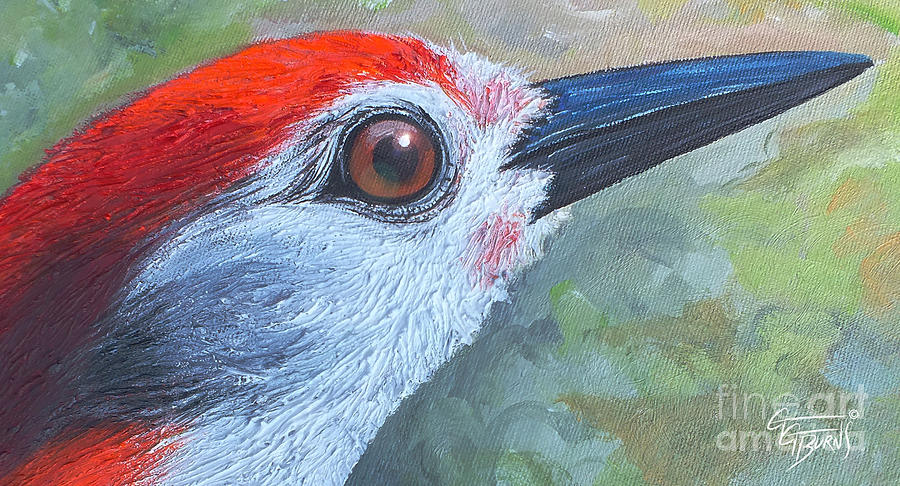 Woodpecker Painting - RED brings HOPE - upclose by GG Burns