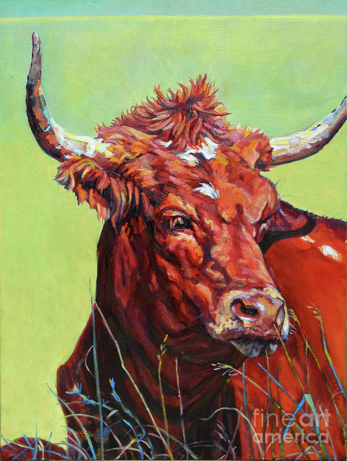 Animal Painting - Red Bull by Patricia A Griffin