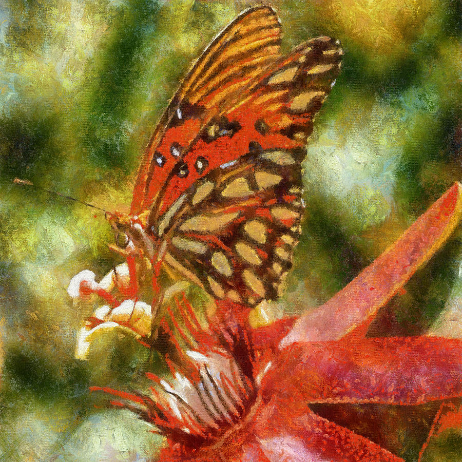 Red Butterfly Digital Art by Charmaine Zoe