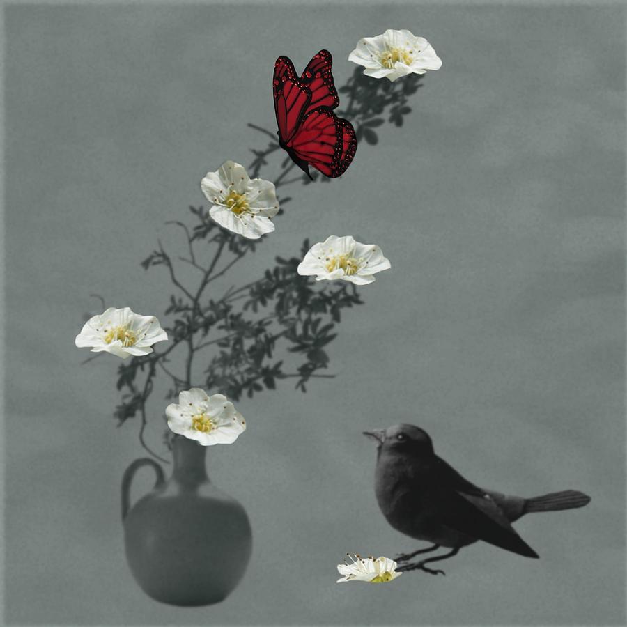 Red Butterfly in the eyes of the Blackbird Digital Art by Barbara St Jean