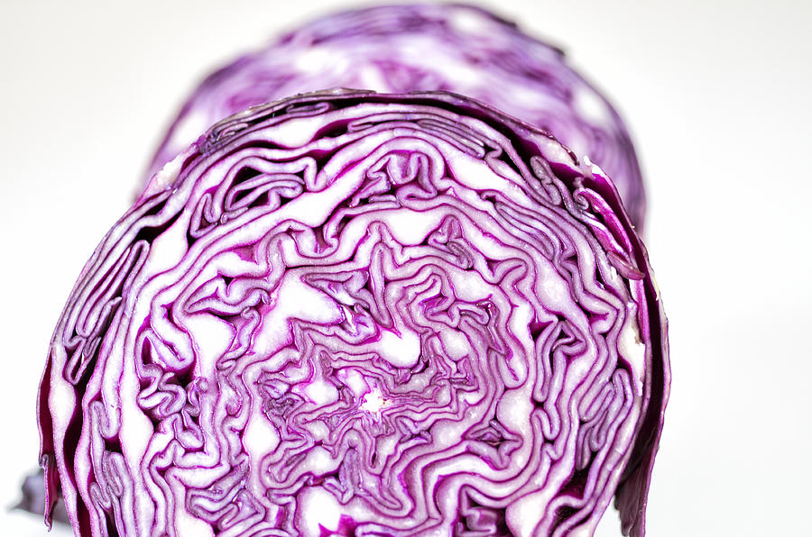 Red cabbage Photograph by Paulo Goncalves