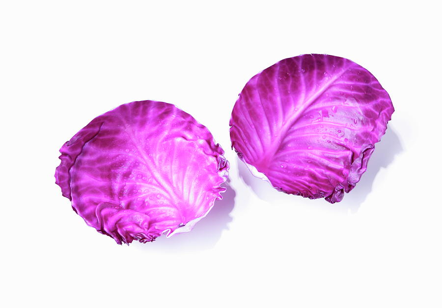 Vegetable Photograph - Red Cabbage by Sot