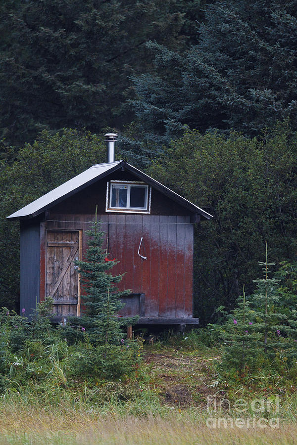 Red Cabin In The Woods Lake Clark National Park Photograph By