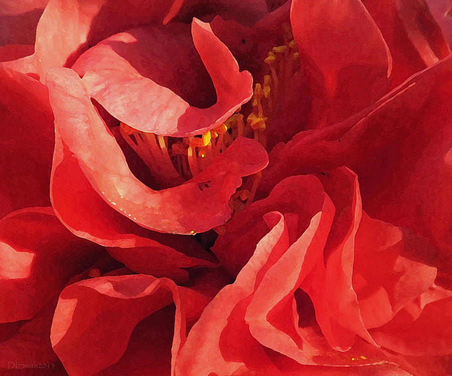 Red Camellia Abstract Photograph by Deborah Smith